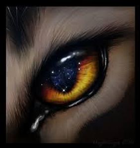 Pelt Color; Eye color (first letter in last name) Pelt Color; Eye color (first letter in last name)