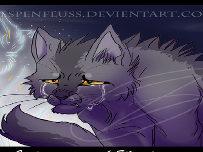 Chapter Five Chapter Five