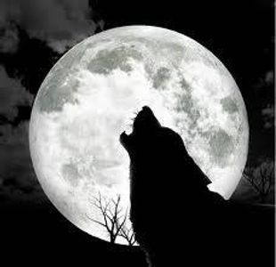 The Full Moon The Full Moon