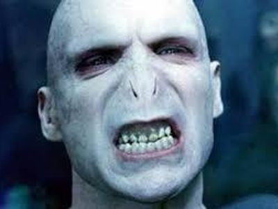 Voldy's Revenge Voldy's Revenge