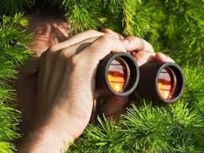 Spying Spying