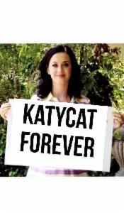 katycat katycat