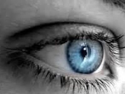 Your Twitching Wonderous Eye Your Twitching Wonderous Eye