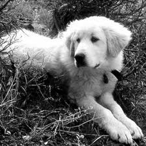 Riley starts to get old Riley starts to get old