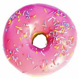 The doughnut The doughnut