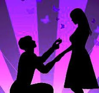 The proposal The proposal