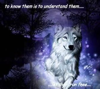 Wolves Wolves