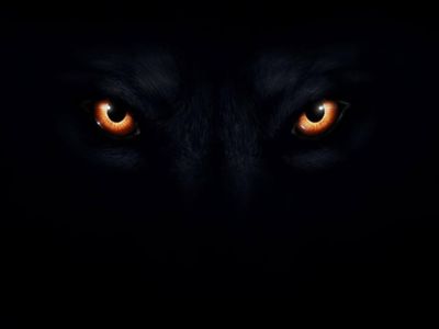 A Person that was once thought to be a Monster A Person that was once thought to be a Monster