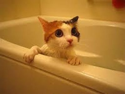BATHS BATHS