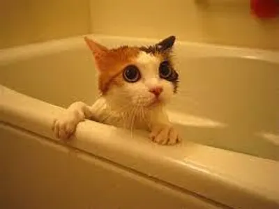 BATHS BATHS