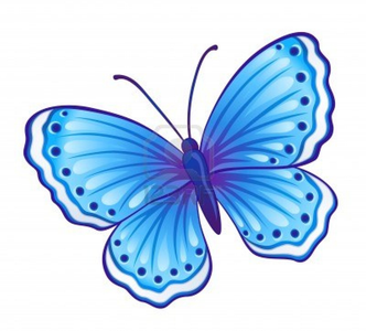 The Butterfly The Butterfly