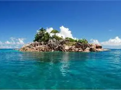 Survivor Island Survivor Island