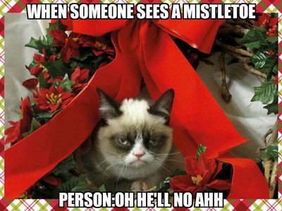 The MISTLETOE The MISTLETOE