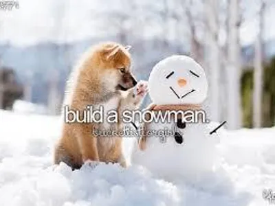 Build A Snowman