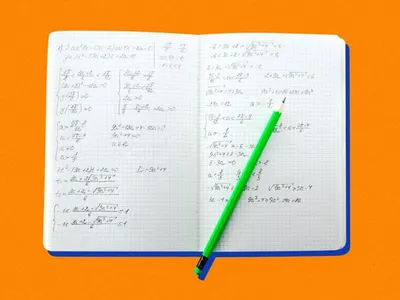 Chapter 15- Book Brain Chapter 15- Book Brain