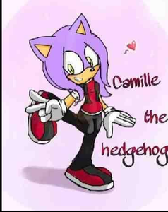 Meet Camille the Hedgehog Meet Camille the Hedgehog