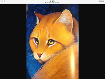 Lionblaze's dare Lionblaze's dare