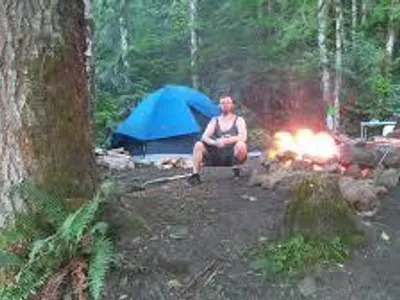 grizzly bear grizzly bear