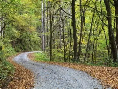 The Long Road Ahead The Long Road Ahead