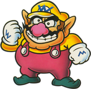 Wario Wario