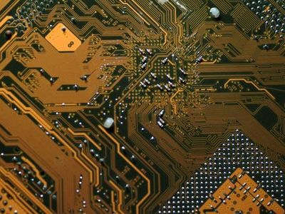 SCP-003 - biological motherboard SCP-003 - biological motherboard