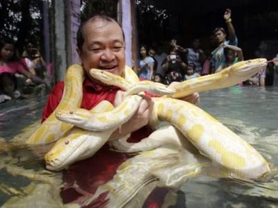 Ophidiophobia: The fear of snakes Ophidiophobia: The fear of snakes
