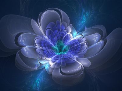 tunflip flower/blossoms