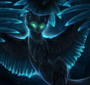 Newcomer (Chapter 11) Newcomer (Chapter 11)