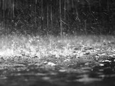 Refuge from the Rain Refuge from the Rain