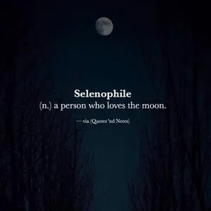 You Take the Moon You Take the Moon