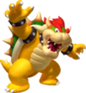 Bowser Bowser