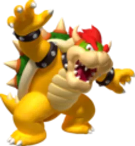 Bowser Bowser