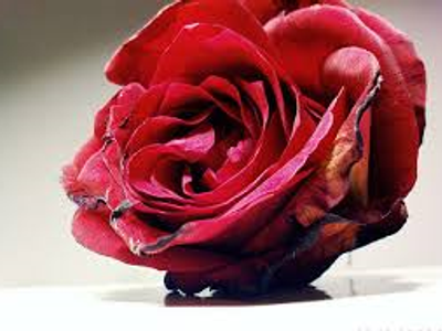 Fragile... Fragile...