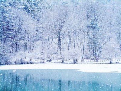 White Christmas White Christmas