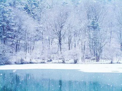 White Christmas White Christmas