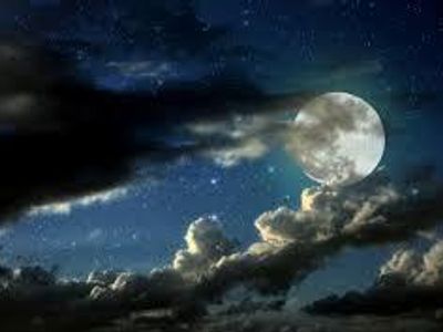 night night