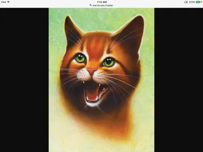 Firestar's dare Firestar's dare
