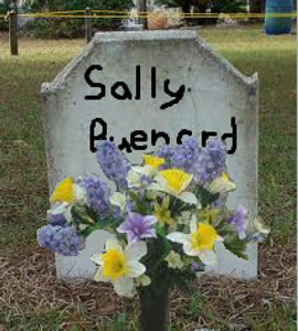 Sally's Gravestone Sally's Gravestone