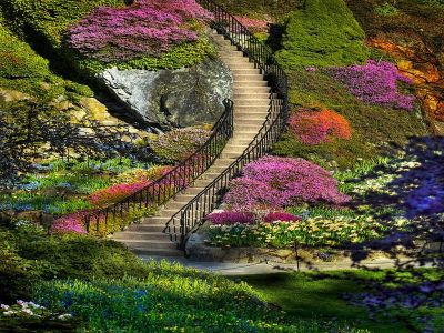 Chapter 23: Heaven's Gardens Chapter 23: Heaven's Gardens