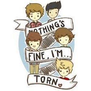 Torn Torn