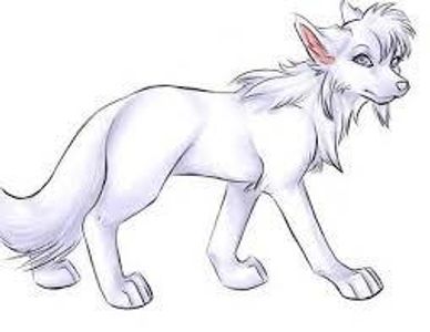 The wolf who had the curse. The wolf who had the curse.