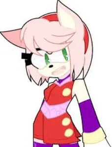 Amy Rose the hedgehog Amy Rose the hedgehog