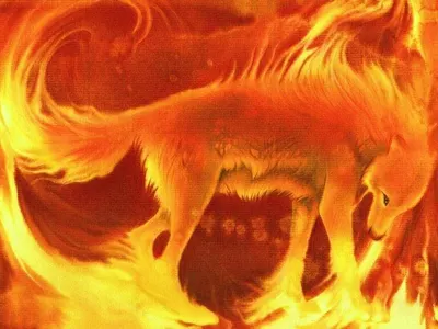 Fire against ice Fire against ice