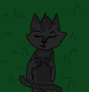 Hollywhisker's Seceret Hollywhisker's Seceret