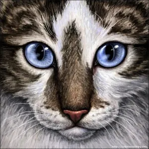 Looks(eyes) Looks(eyes)