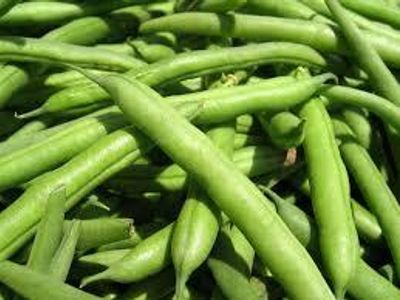 Farming Is Boring Farming Is Boring