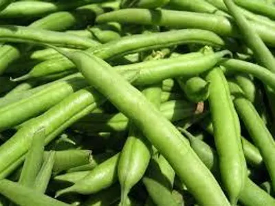 Farming Is Boring Farming Is Boring