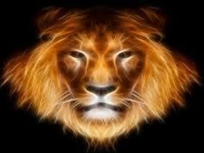 Leo Leo