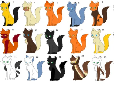 Cats of the clans Cats of the clans