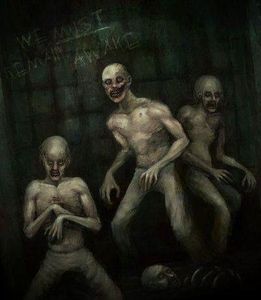 The Russian Sleep Experiment The Russian Sleep Experiment
